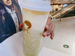 多肉玫珑瓜-喜茶(青岛金狮广场店)
