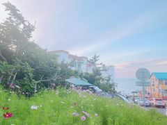 -威海国际海水浴场旅游区