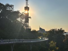 -广州雕塑公园