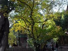 -回龙观体育文化公园