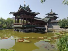 -迎泽公园