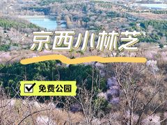 -北宫国家森林公园