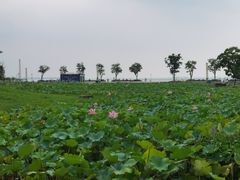 -滆湖低碳生态公园