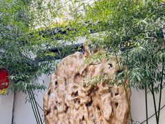 景观位-老张烤羊(王哥庄店)