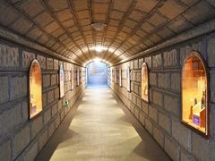 -紫轩葡萄酒庄园