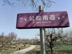 -南开大学(津南校区)