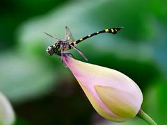 -长沙一页量贩KTV