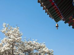 -西安市广仁寺