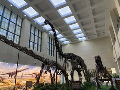 -广西壮族自治区博物馆