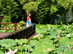 -莲湖公园