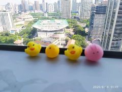 -新航道雅思托福·留学·考研培训(人民广场校区)