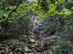 -南山植物园