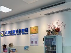 -北京观赏动物医院·24小时大型综合·猫专科·异宠专科
