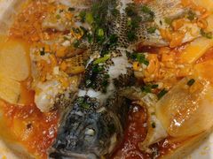 焗鲈鱼-樽宴酒楼·地道川菜·品质宴请