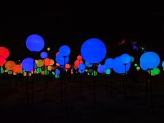 -锦江乐园舞狸花花游园会(夜场专享)