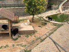 -石家庄市动物园