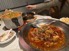 -辛香汇·现炒川菜(小寨原力场-西北首店)