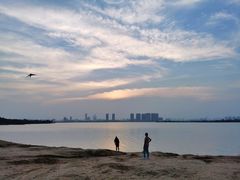 -瑶湖郊野森林公园