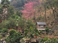 -灵光寺