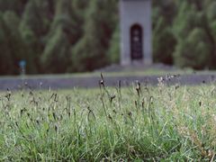-茂陵博物馆