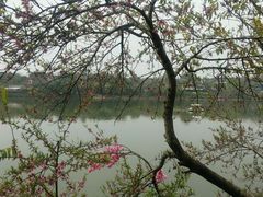 -三圣花乡旅游区