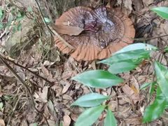 -深圳市人民医院(留医部)