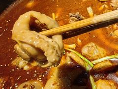 -红顶老汉烧鸡公羊蝎子火锅(学士街店)