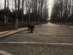 -如家精选酒店(青岛八大关太平角公园地铁站海水浴场店)