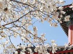 -北京艺术博物馆(万寿寺)