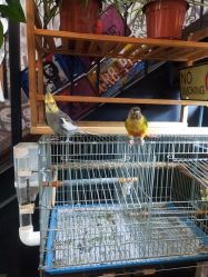 -日月刺青工作室·高端纹身