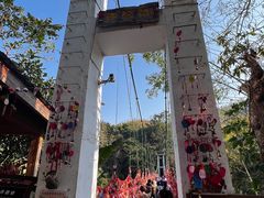 -西双版纳原始森林公园