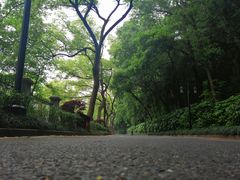 -杭州花家山庄