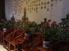 -弘医堂医院-中医科