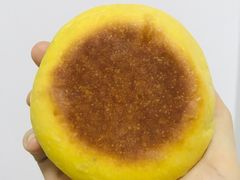 -稻田秋日式面包
