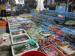 -霞涌市场海鲜摆卖区