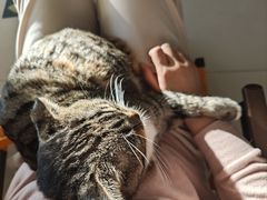 -平行世界·猫咖(首经贸店)