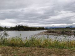 -野鸭湖国家湿地公园