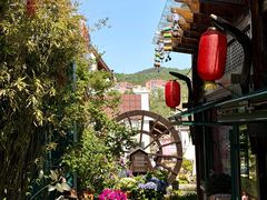 -慢丽江·云南野生菌土鸡锅(付家庄店)