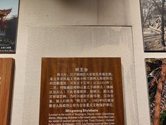 -亳州博物馆