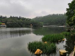 -仙娜健康管理中心