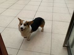 -阿尔法海鲜排档(爱琴海店)