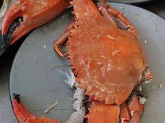 -仙螺岛海鲜自助餐厅(总店)