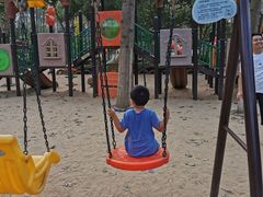 -合肥滨湖国家森林公园