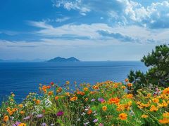 -西海岸生态观光园