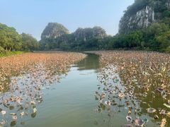 -星湖旅游景区七星岩