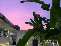 -天空花园餐吧·生日·团建(南山店)