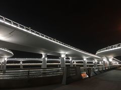 -演武大桥观景平台