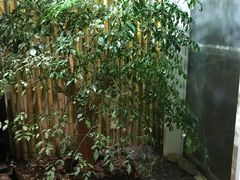 -小隐足道·按摩·主题SPA馆(西红门店)