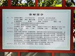 -大望京公园