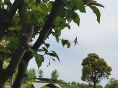 -滆湖低碳生态公园